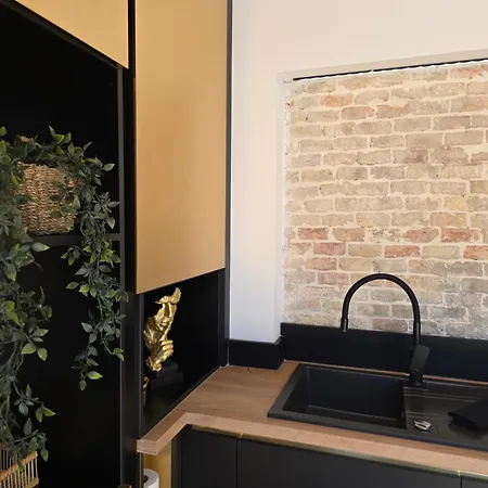 Oli 2 Apartment Porec